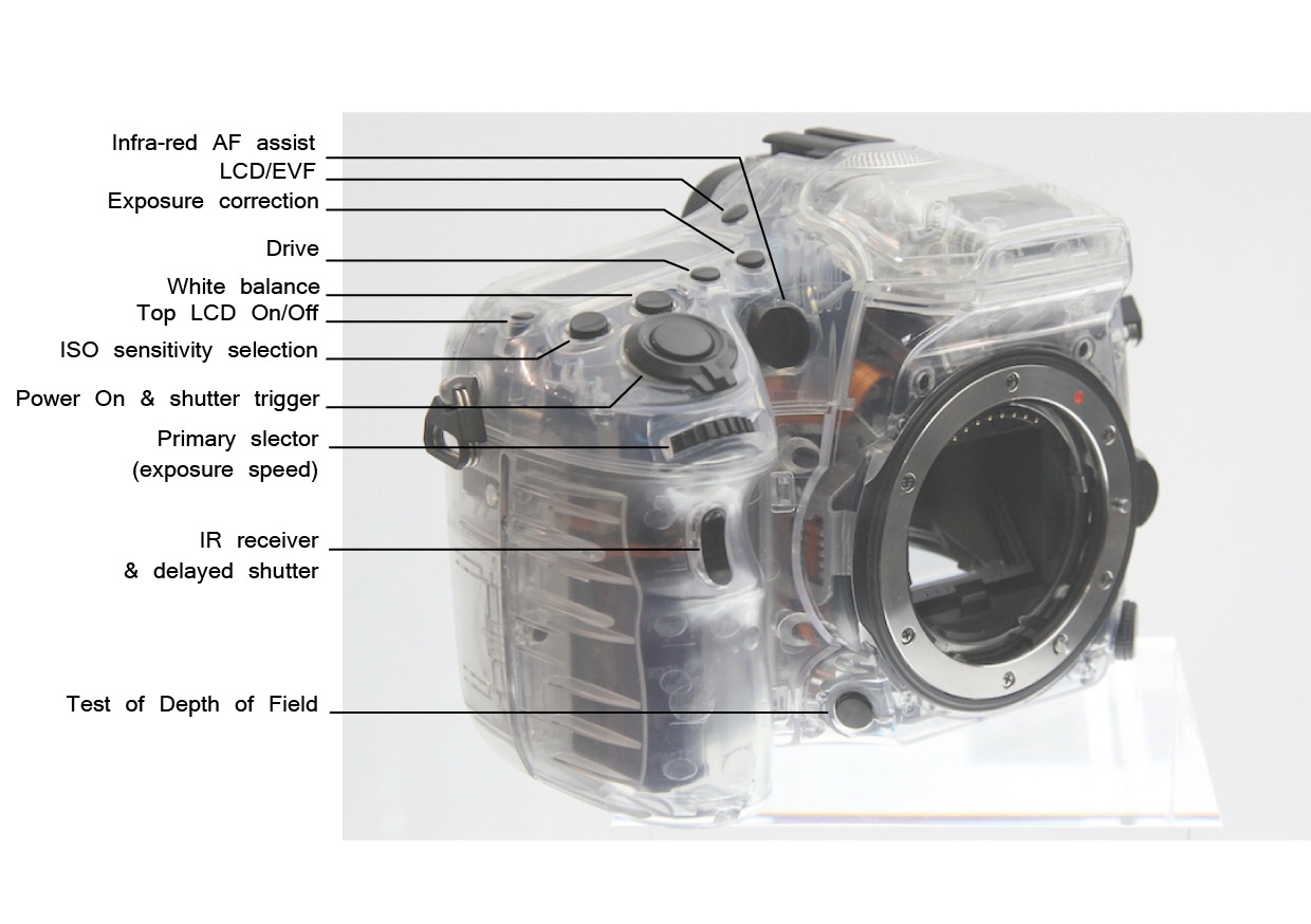 Sony A77: control buttons