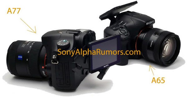 Sony Alpha 77 & Alpha 65