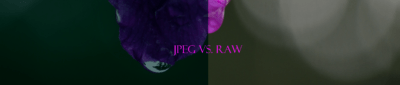 JPEG.vs.RAW [Band]