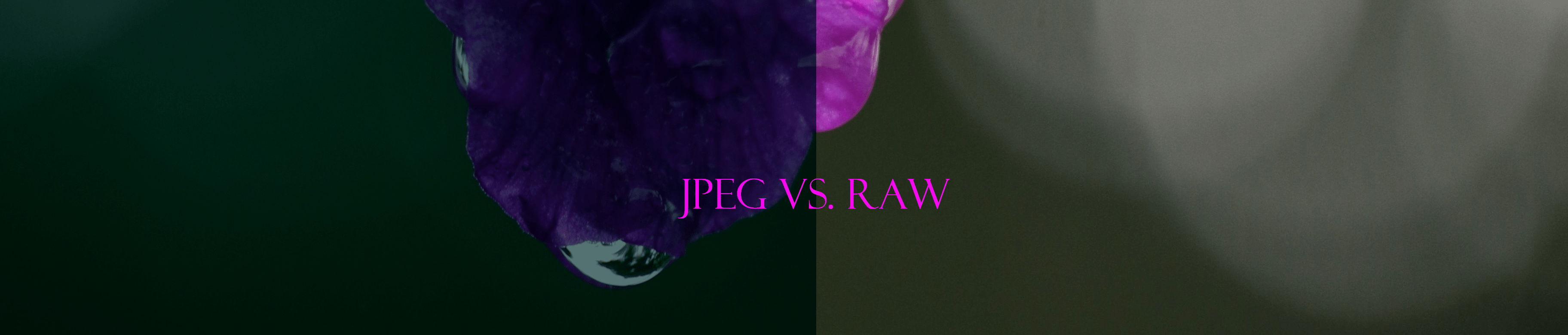 RAW ou JPEG ?
